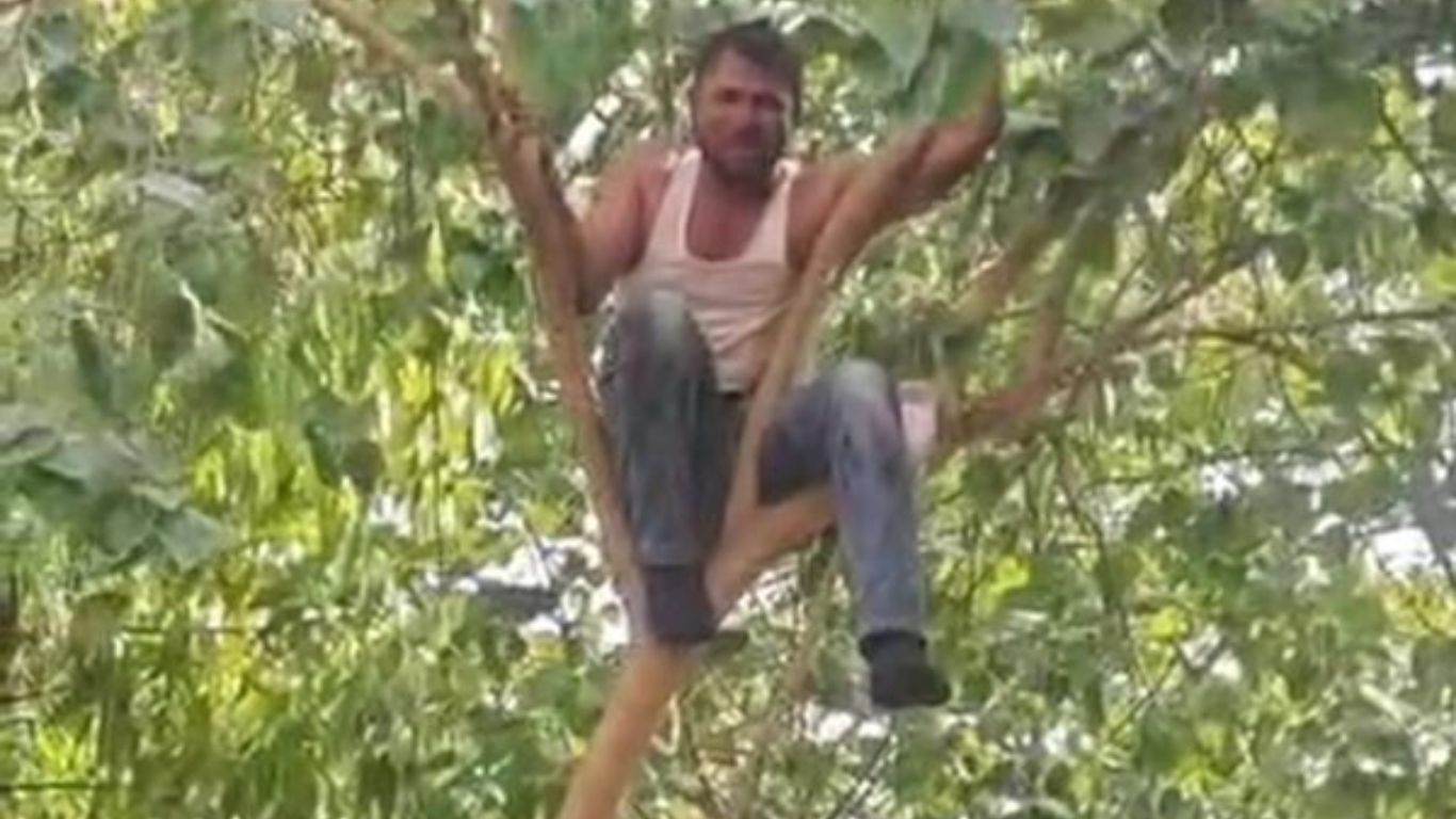 20 साल पुराने हत्या केस के फैसले के बाद कोर्ट परिसर में हाईवोल्टेज ड्रामा, पेड़ पर चढ़ युवक ने दी आत्महत्या की धमकी