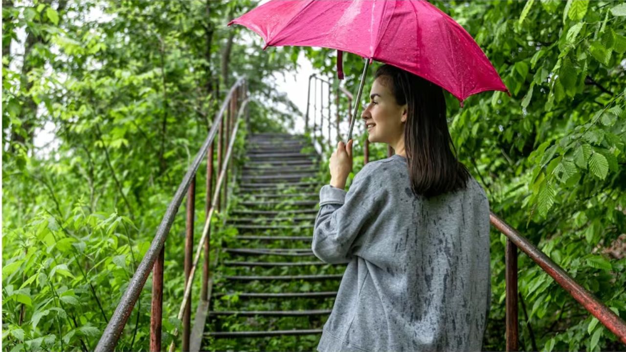 चिलचिलाती गर्मी और तेज धूप से राहत पाने के लिए हर किसी को मानसून का बेसब्री से इंतजार रहता है। बारिश की बूंदें गिरते ही प्रकृति जैसे एक नया रूप ले लेती है और चारों तरफ हरियाली की चादर बिछ जाती है। (Img- Internet)