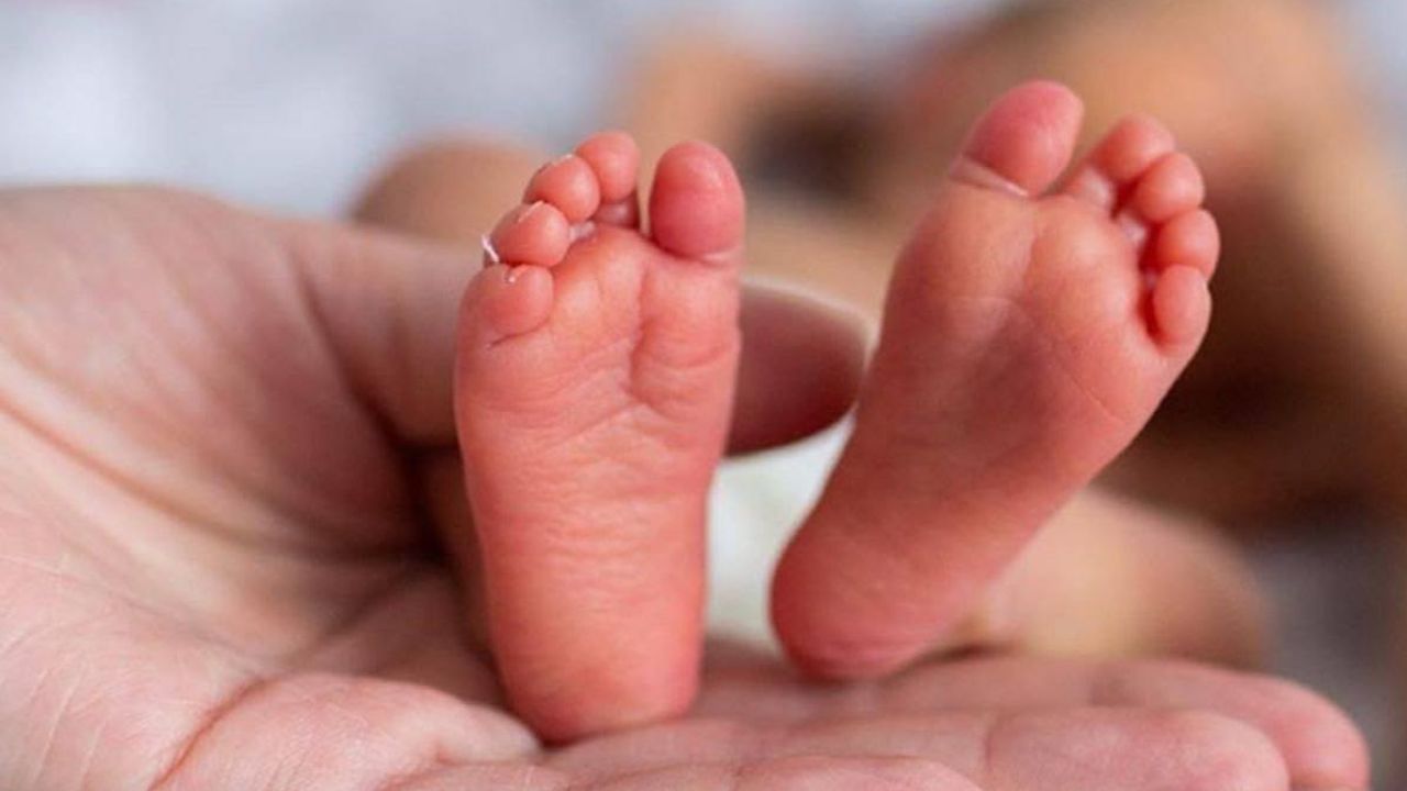 प्रतिभा की घिनौनी प्रतिभा: नवजात बच्चों की खरीद-फरोख्त का खेला गंदा खेल, 8 लाख से शुरू होती थी मासूम जिंदगी की कीमत…