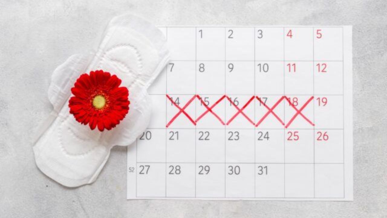सिर्फ किताबी बातें ही नहीं, बल्कि बेटी को सैनिटरी पैड्स (Sanitary Pads) के इस्तेमाल का सही तरीका और उसे हर 4 से 6 घंटे के अंतराल पर बदलने की जरूरत के बारे में भी सिखाएं। उसे यह भी बताएं कि स्कूल या घर से बाहर होने पर आपातकालीन स्थिति में खुद को कैसे संभालना है। इसके अतिरिक्त, उसे अपनी हॉर्मोनल हेल्थ की ट्रैकिंग के लिए पीरियड साइकिल चार्ट मेंटेन करना सिखाएं। (फोटो सोर्स- Pinterest)