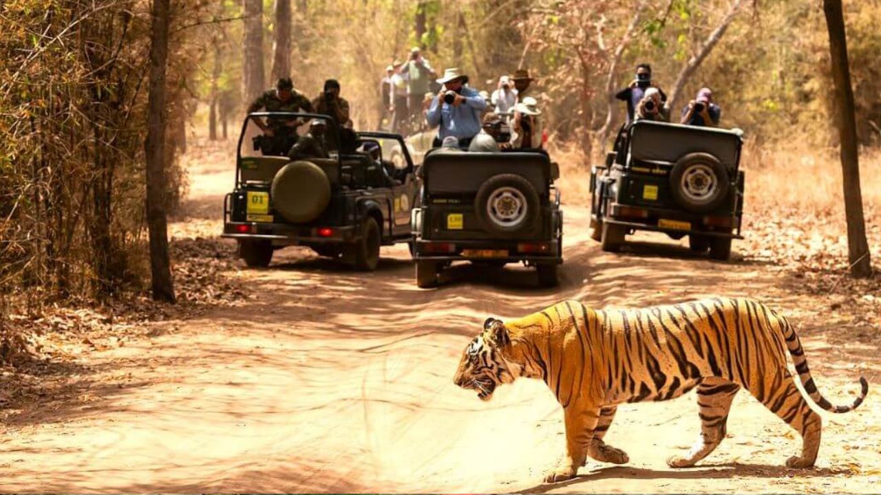 यूपी में Wildlife Lovers को मिलेगा 15 दिन अतिरिक्त घूमने का मौका, बढ़ी पर्यटन सत्र की अवधि