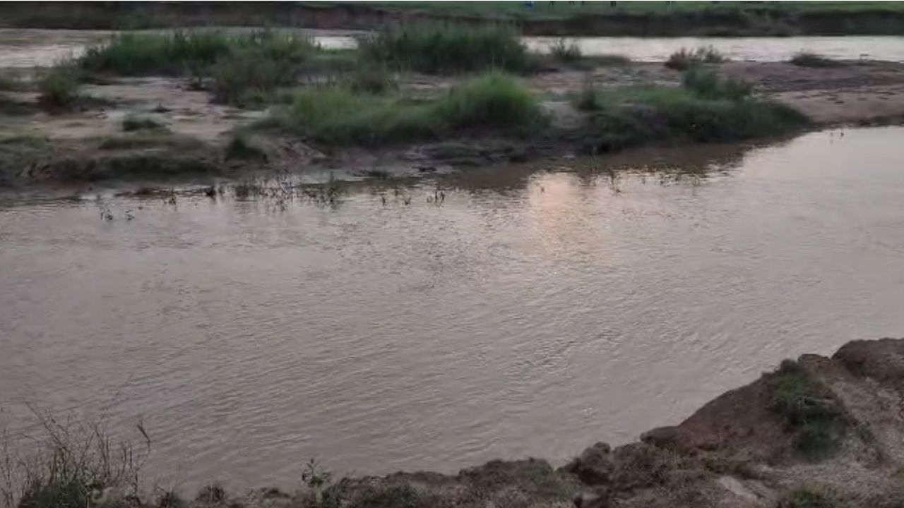 नदी में दिखा 12 फीट का ‘खूनी साया’! मगरमच्छ ने गांव में मचाई दहशत, रेस्क्यू जारी