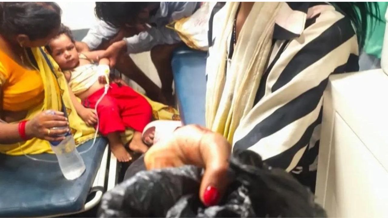 Deoria Sarp Kissa: खेल-खेल में मासूम ने चबा डाला जहरीला सांप, फिर जो हुआ उसे देख डॉक्टरों के भी उड़ गए होश!
