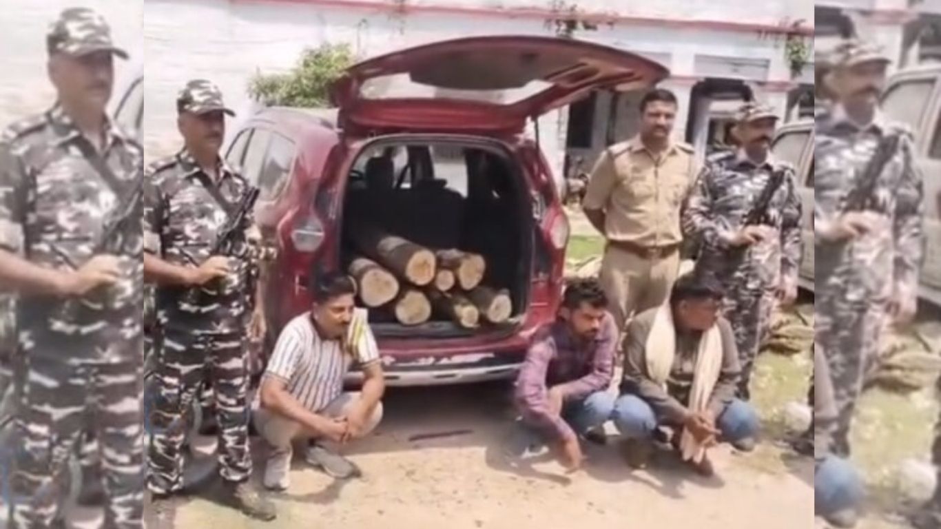 बलरामपुर: चंदन लकड़ी तस्करी का बड़ा खुलासा, वन विभाग और SSB ने तीन तस्करों को दबोचा