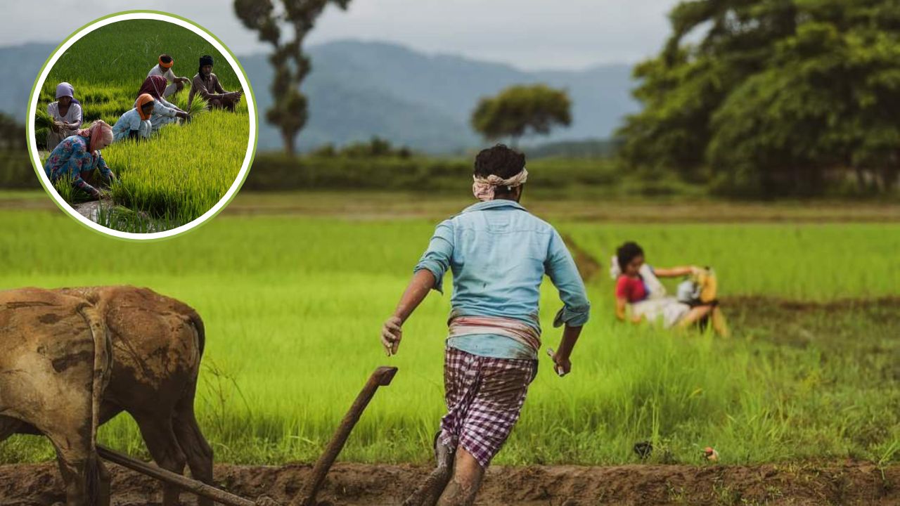 PM Kisan Yojana: करोड़ों किसानों के खातों में क्यों नहीं पहुंचे 2,000 रूपए? सरकार का आया बड़ा फैसला, ऐसे मिलेगी अटकी हुई रकम!