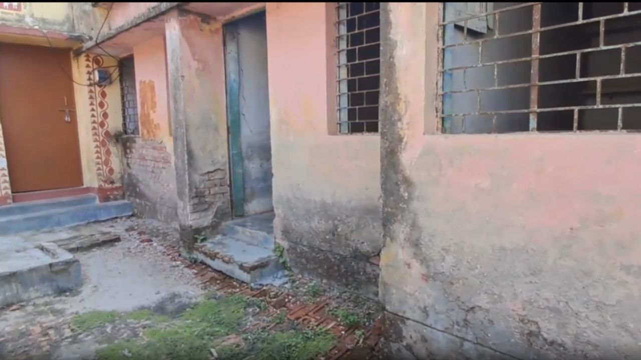 Deoria News: आवारा पशुओं का आतंक, चौराहों पर जमावड़ा, लोगों की बढ़ी परेशानी