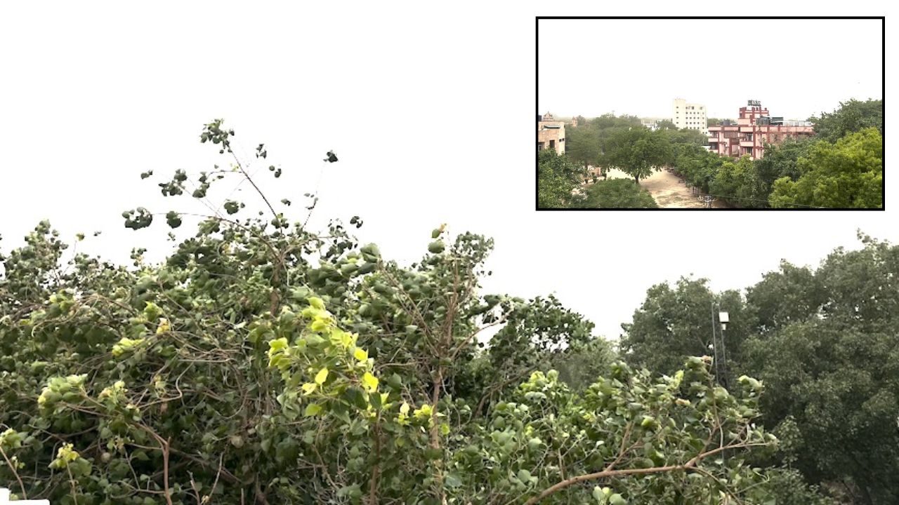 Weather Update: दिल्ली-एनसीआर में अचानक बदला मौसम, तेज हवाओं के साथ आंधी-बारिश का अलर्ट