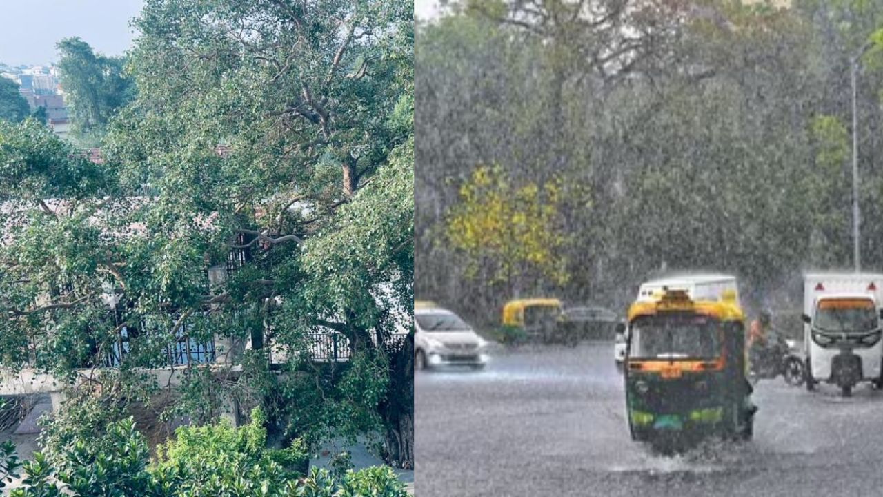 5 जून को क्या होगा ऐसा कि बदल जाएगा यूपी का मौसम? 35 जिलों में आंधी-बारिश का अलर्ट, मानसून को लेकर भी बड़ा संकेत