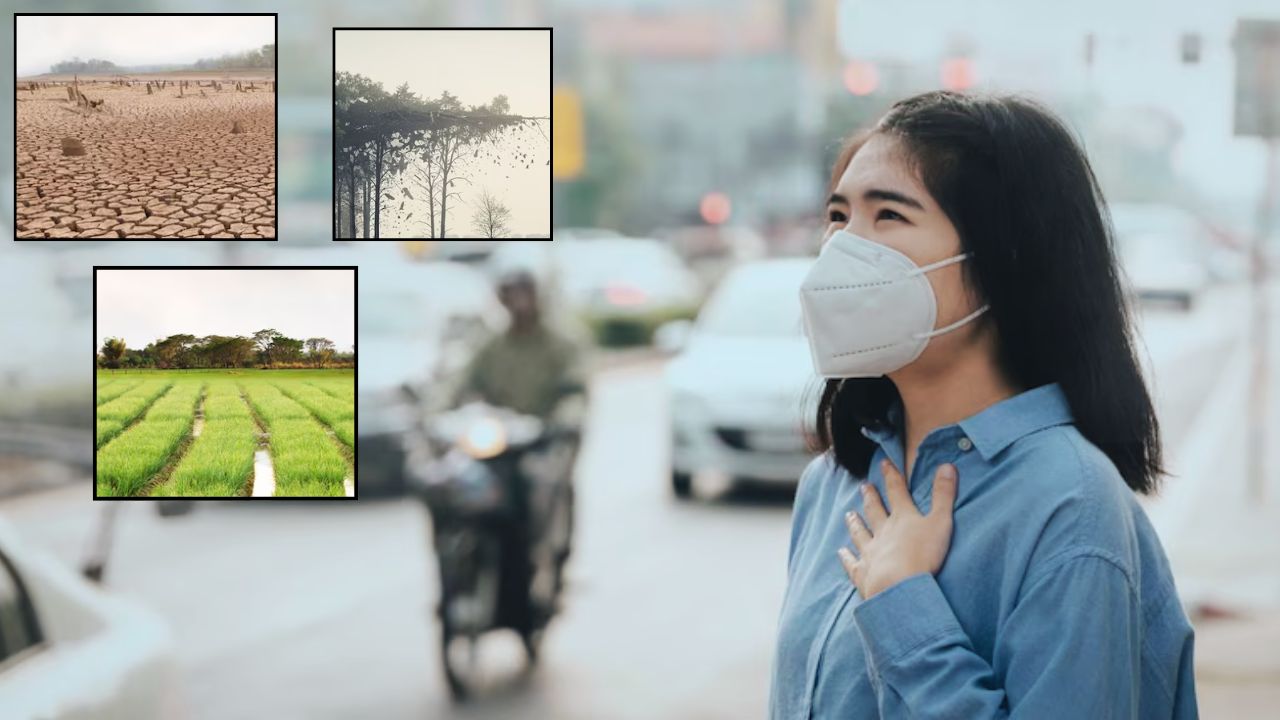 World Environment Day 2026: बदलते पर्यावरण ने बिगाड़ी जिंदगी, रोजमर्रा की लाइफस्टाइल पूरी तरह प्रभावित