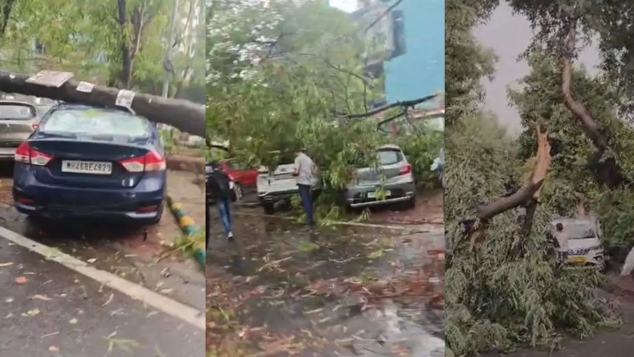 अचानक आए तूफान ने नोएडा को क्यों बना दिया तबाही का शहर? 400 पेड़ गिरे, देखिए मौसम अपडेट