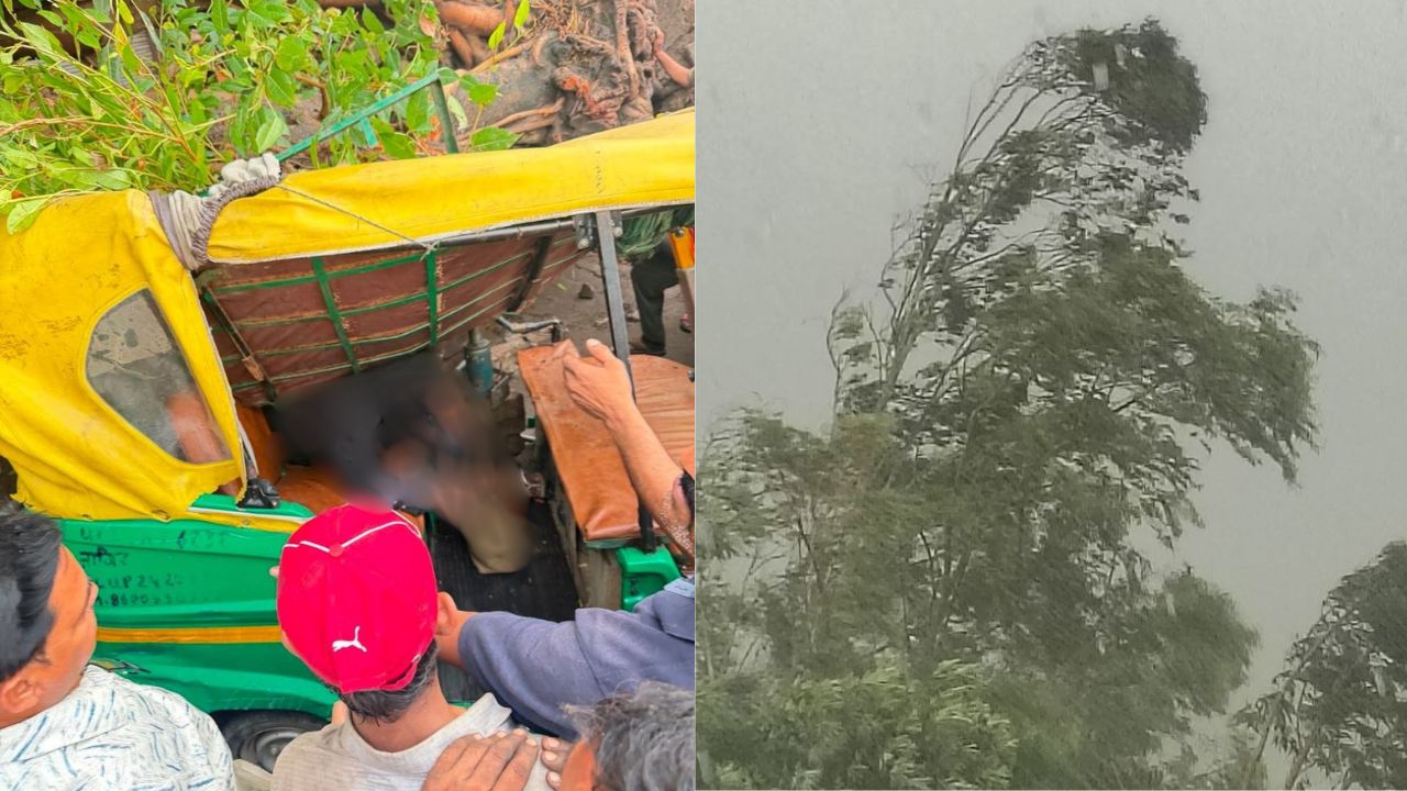 बदायूं में आंधी का कहर: पेड़ गिरने से ई-रिक्शा सवार महिला की मौत, परिजनों में कोहराम