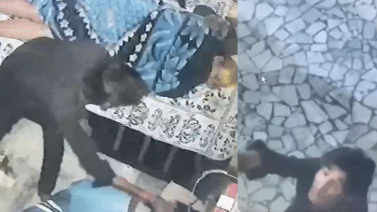 कानपुर में भाजपा नेत्री का घर भी सुरक्षित नहीं? गेट फांदकर घुसा चोर; सोते समय बगल से हाईप्रोफाइल चोरी
