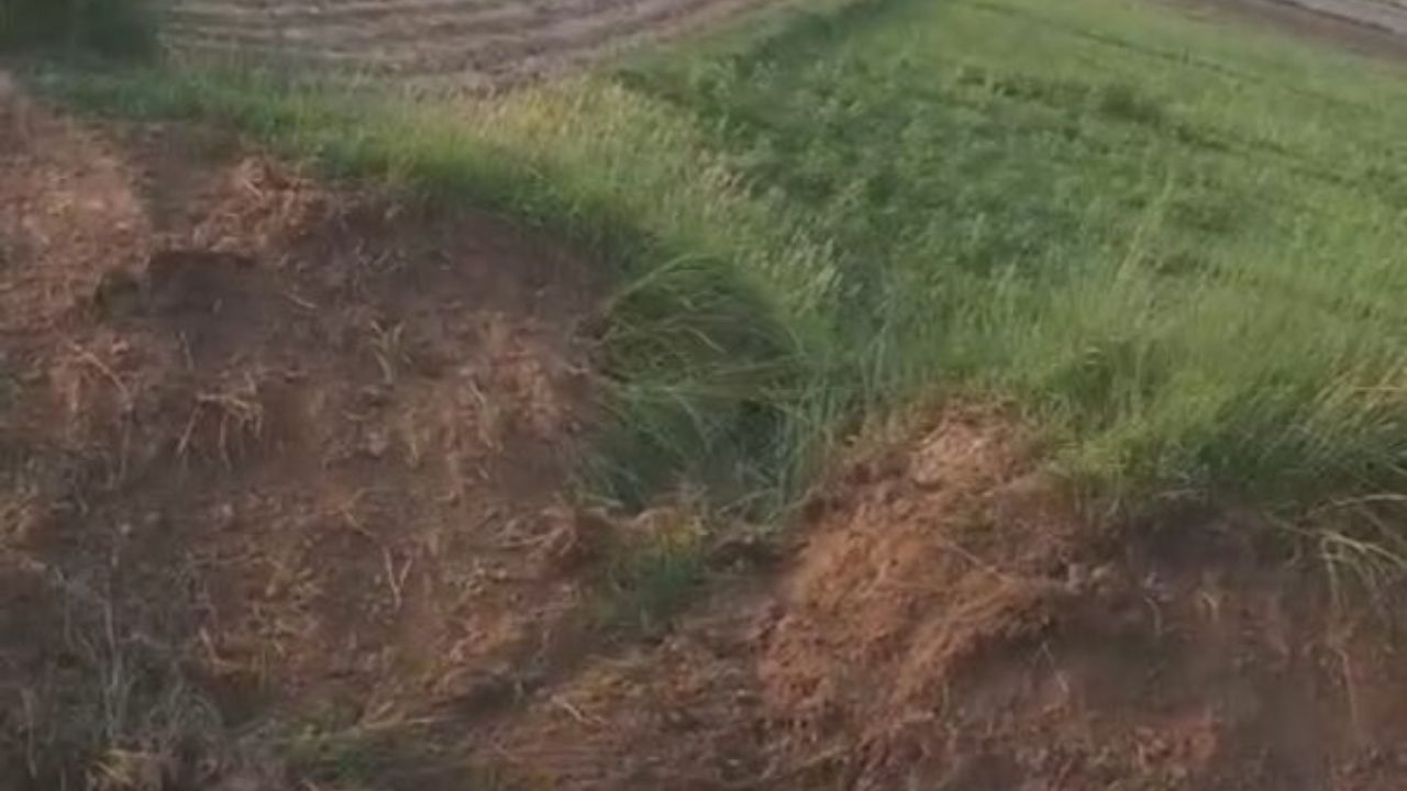 गोरखपुर में ड्रेन सफाई के नाम पर बड़ा खेल, पोकलेन मशीन से सिर्फ ऊपरी गाद हटाई, शिकायत सीधे पहुंची CM दरबार
