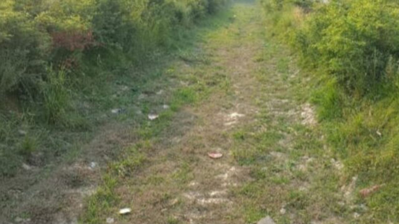 गोरखपुर में खरीफ की खेती पर संकट, किसानों ने प्रशासन से की ये मांग
