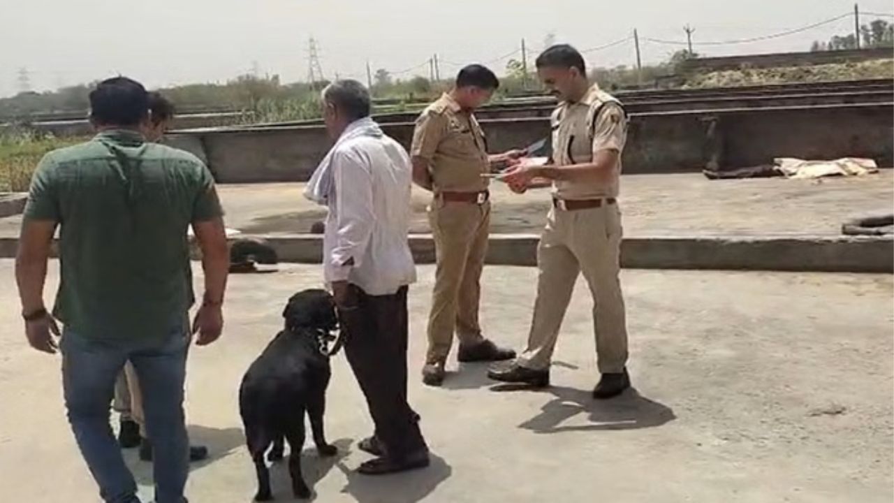 रोहतक में रूह कंपा देने वाली वारदात: जलघर में मिली युवक की सिर कटी लाश, इलाके में फैला हड़कंप