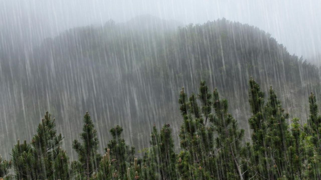 Monsoon Update: 18 राज्यों में भारी बारिश का महा-अलर्ट, दिल्ली-यूपी समेत कई हिस्सों में 80-90 किमी की रफ्तार से चलेगी आंधी