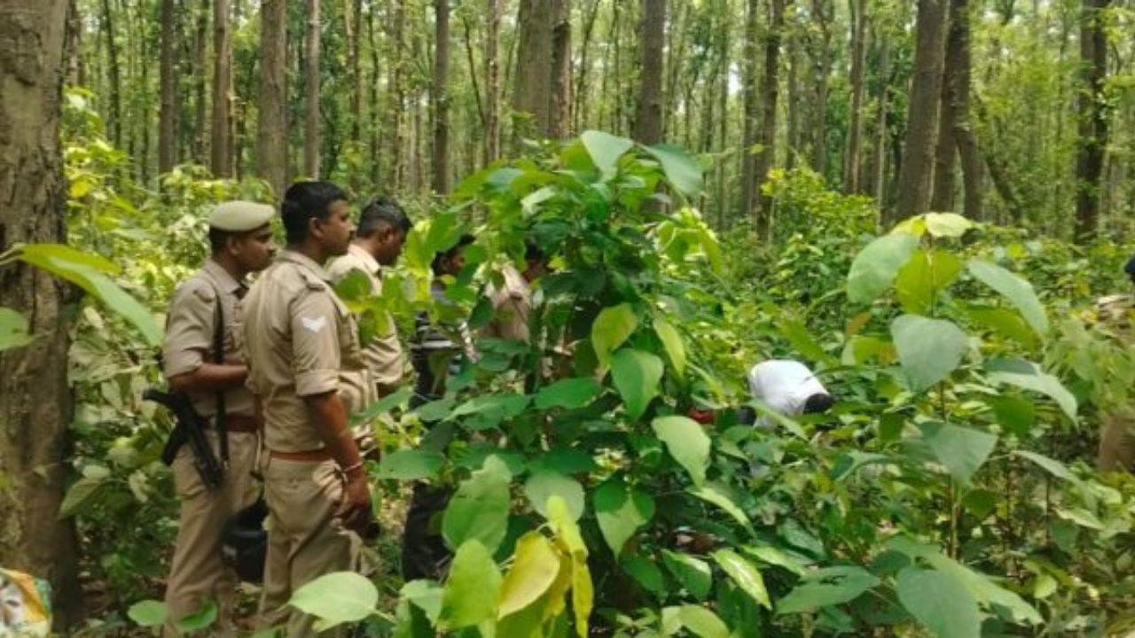 Maharajganj: सुबह जंगल में दिखा ऐसा नजारा कि उड़ गए लोगों के होश