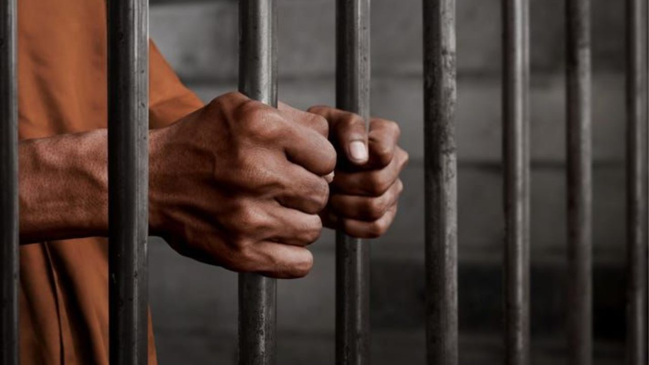 मिर्जापुर पुलिस का बड़ा प्रहार, पालि बॉर्डर पर दबोचा गांजा तस्कर, 1 किलो से ज्यादा माल बरामद