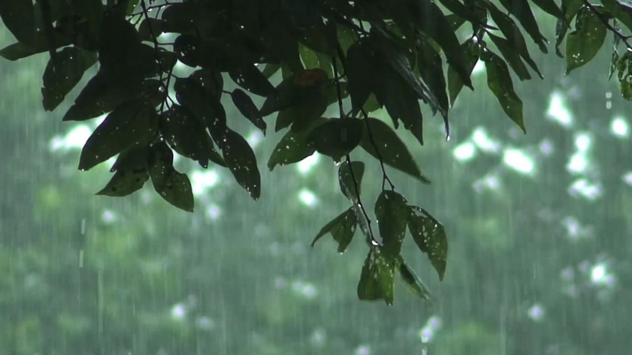 देशभर में मौसम के दो रंग: कहीं धूलभरी आंधी और ओलावृष्टि, तो कहीं हीटवेव का सितम जारी, जानें मौसम विभाग का बड़ा अलर्ट
