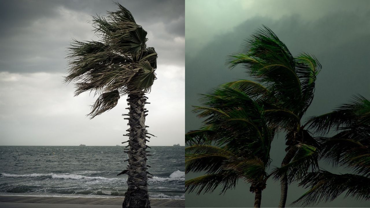 Weather Update: दिल्ली-UP समेत 22 राज्यों में आंधी-तूफान और भारी बारिश की चेतावनी, जानें आज आपके राज्य में कैसा रहेगा मौसम का हाल