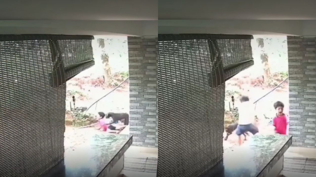 CCTV में जांबाजी कैद: मासूम पर आवारा कुत्ते का हमला, भाई ने अपनाई ये ट्रिक और दुम दबाकर भागा हमलवार