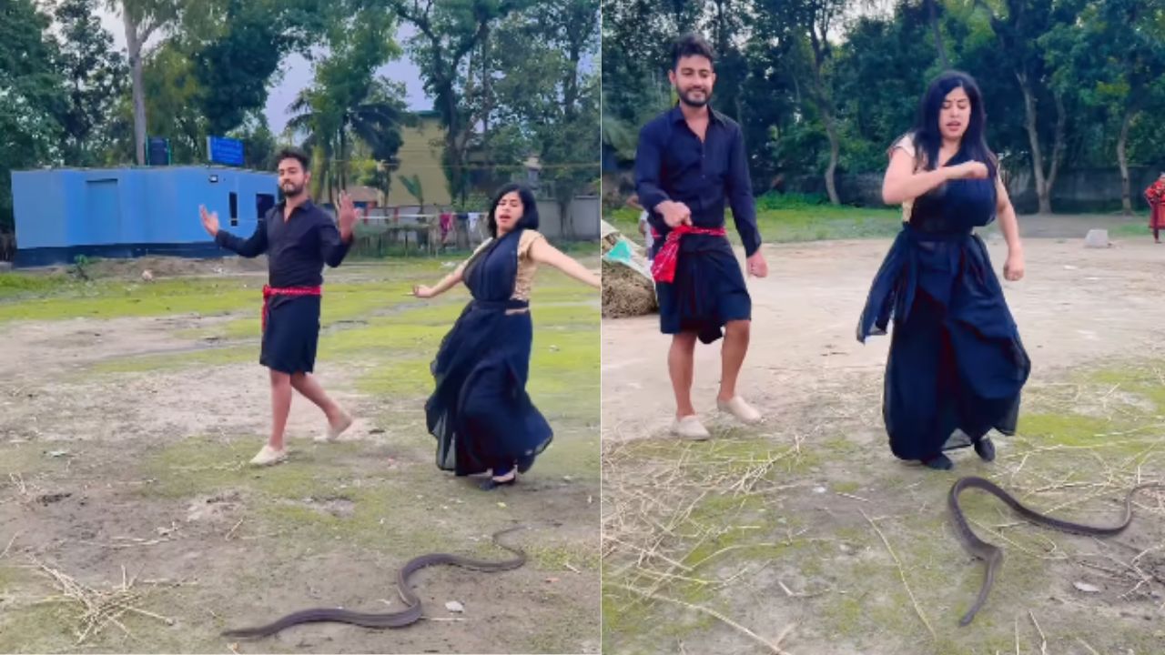 सांपों के बीच Video बना रहा था कपल…फिर हुआ कुछ ऐसा, देख कांप उठेंगे