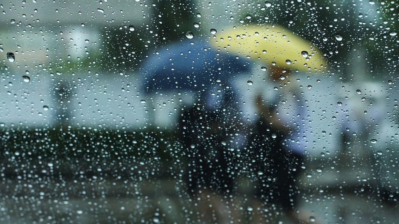मानसून की खुशनुमा रिमझिम अपने साथ हवा और पानी में खतरनाक बैक्टीरिया एवं वायरस का बड़ा संक्रमण भी लाती है, जिससे गर्भवती महिला की कमजोर रोग प्रतिरोधक क्षमता के कारण गर्भस्थ शिशु के स्वास्थ्य और उसके सामान्य विकास पर बहुत बुरा असर पड़ सकता है, इसलिए इस मौसम में साफ-सफाई का विशेष ध्यान रखना और उबला हुआ शुद्ध पानी पीना बेहद जरूरी है। (Img- Envato)