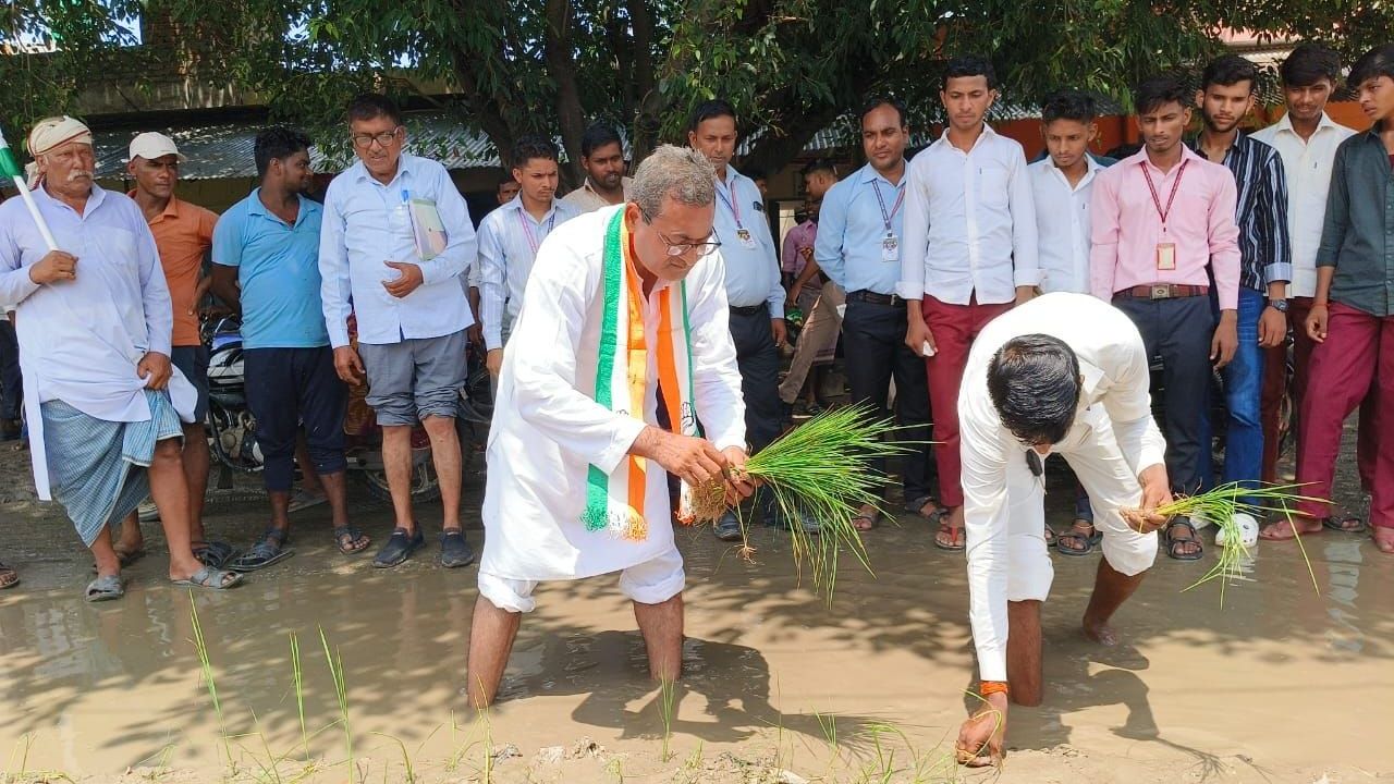 बदायूं में कांग्रेस का अनोखा विरोध, हजरतपुर की जलमग्न सड़क पर की धान की रोपाई