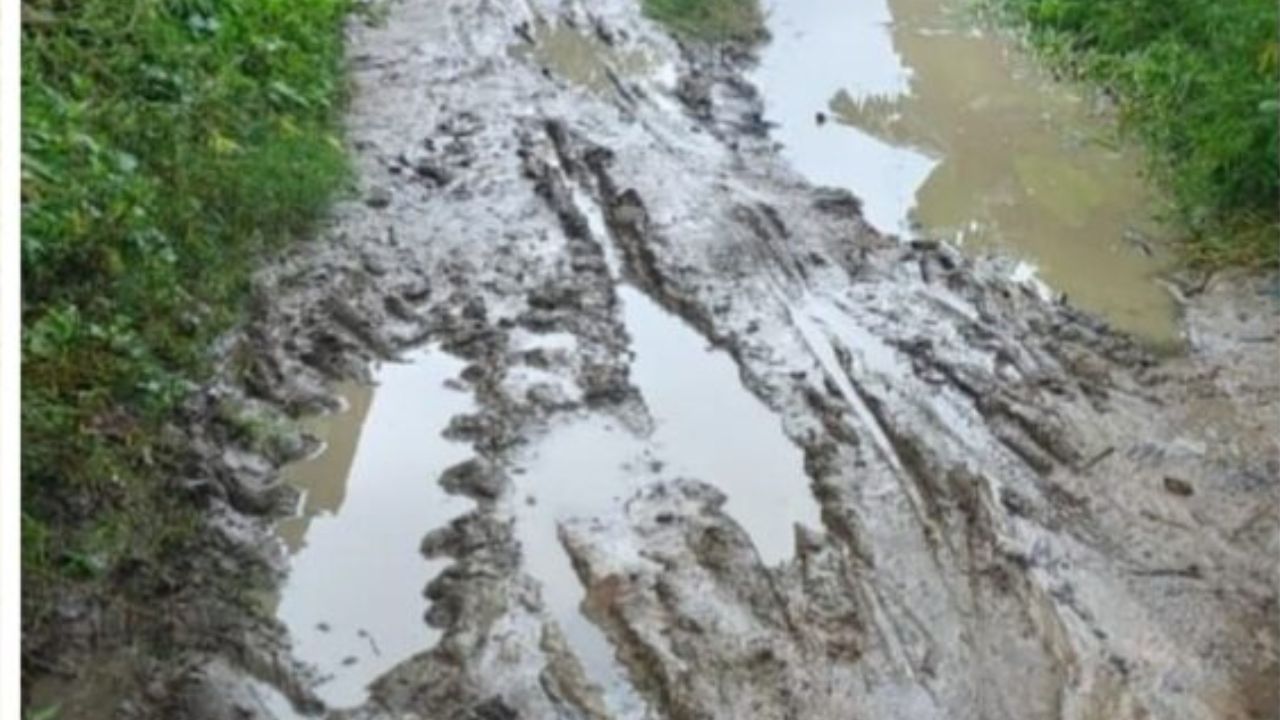 पहली ही बारिश में दलदल बना बनराही गांव का चक मार्ग, अवैध कब्जे और प्रशासनिक सुस्ती से ग्रामीण परेशान