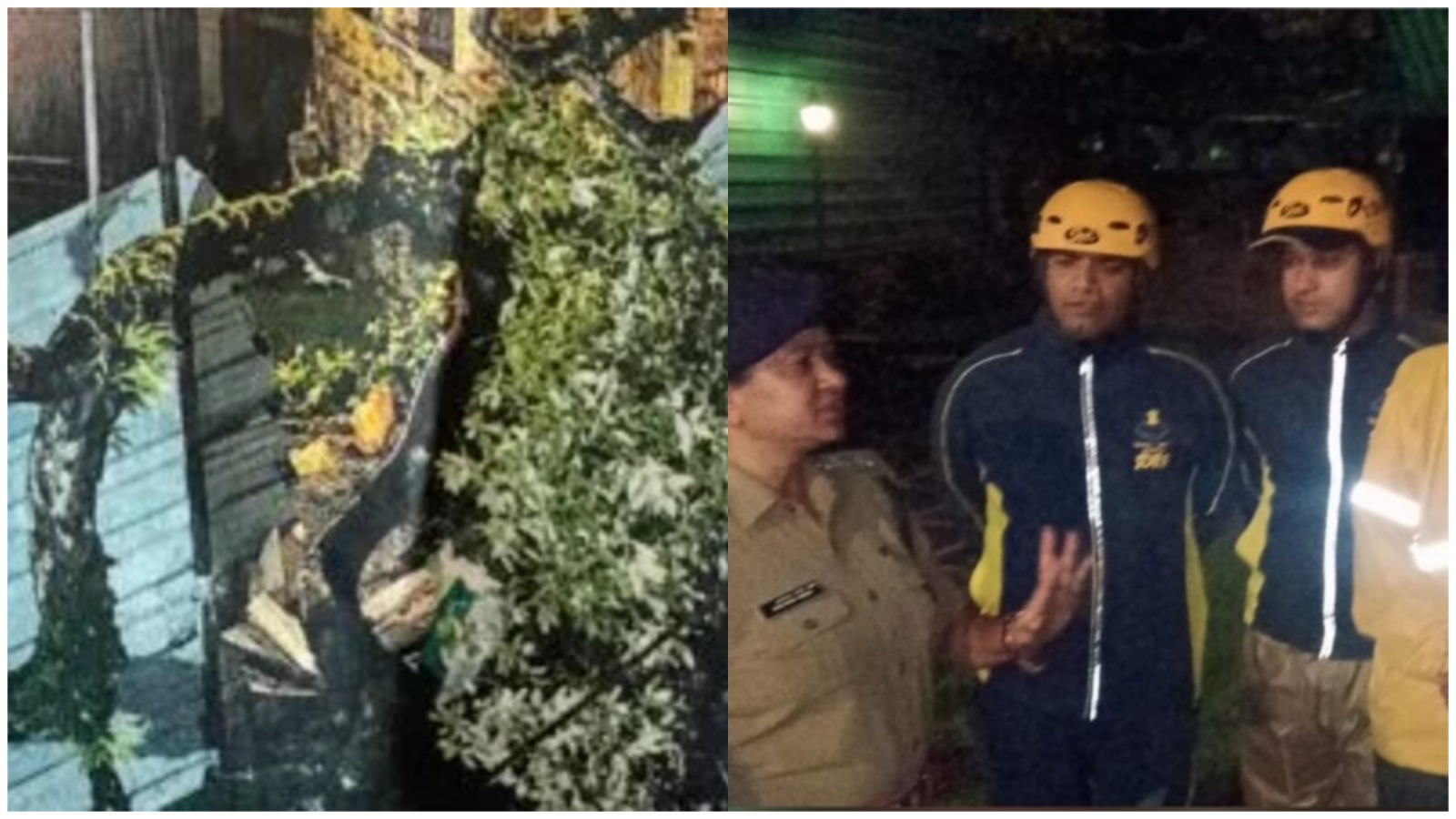रात के अंधेरे में गूंजी जोरदार आवाज… मकान पर गिरा विशाल पेड़, अंदर फंस गए लोग