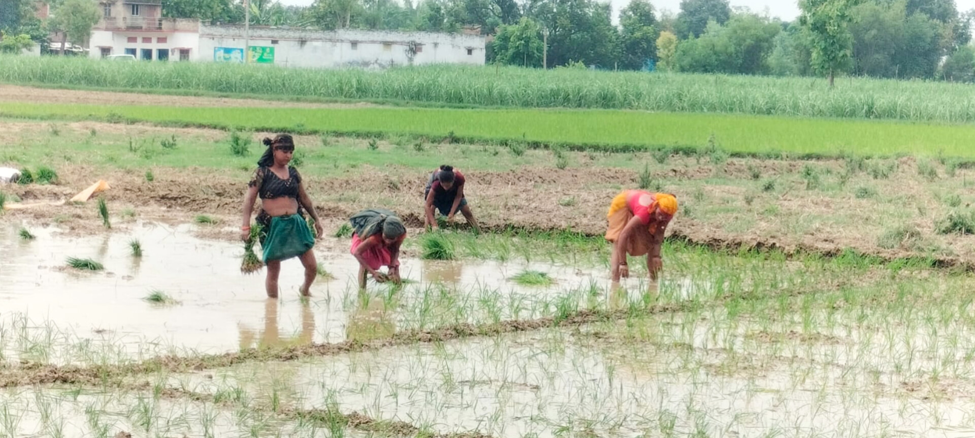 जिस पल का था इंतजार, आखिर बलरामपुर में आ ही गया; किसानों के लिए आई बड़ी खुशखबरी