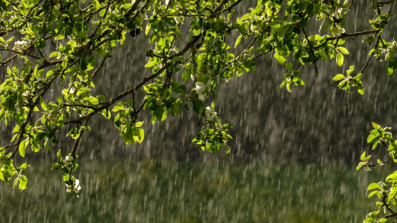 मानसून ले रहा है शॉर्ट ब्रेक? UP में आज हल्की बौछारें, लेकिन मौसम विभाग ने दी 27-28 जुलाई को भारी तबाही की चेतावनी