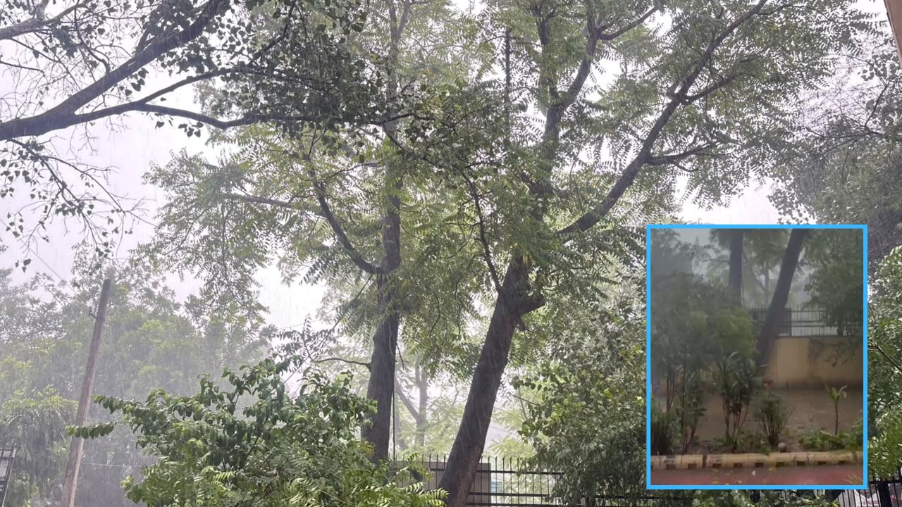 आसमान से बरसी राहत! दिल्ली-एनसीआर में झमाझम बारिश ने बदला मौसम, उमस से मिली बड़ी राहत