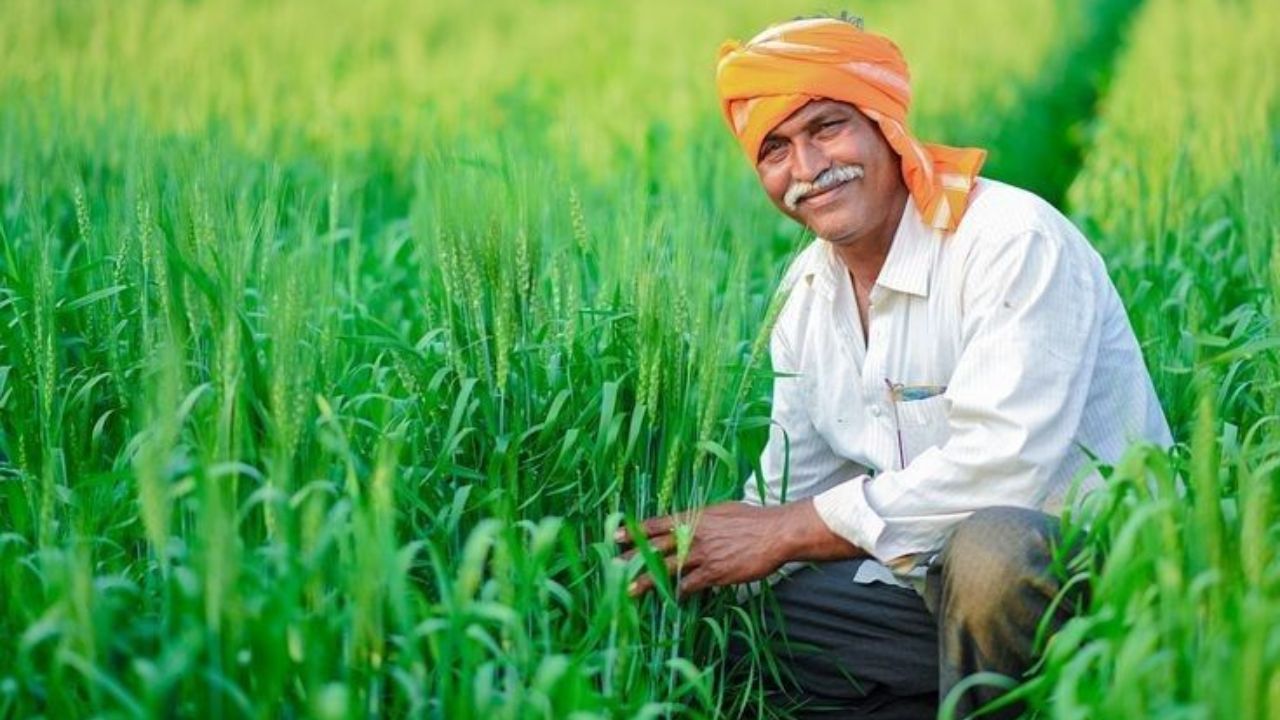 PM Kisan Yojana: सितंबर या अक्टूबर? जानें किस महीने में खाते में आएगी 24वीं किस्त, ये है 4 महीने का पूरा गणित
