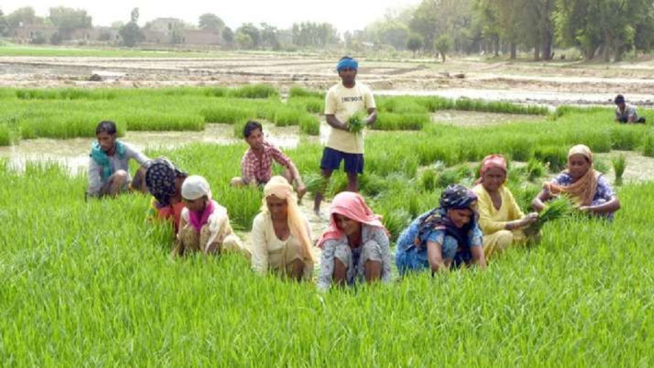 PM Kisan Yojana: 24वीं किस्त पर मंडराया संकट! अगर आज नहीं किया ये काम, तो तरस जाएंगे पैसे को!