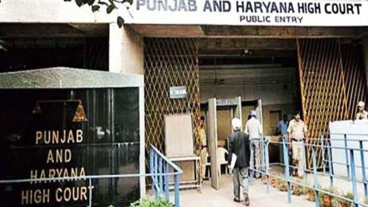 न्याय की चौखट पर तालाबंदी से भड़का हाईकोर्ट: कहा- बेशर्मी से काम ठप कर रहे वकील, सिस्टम को नहीं झुका सकते