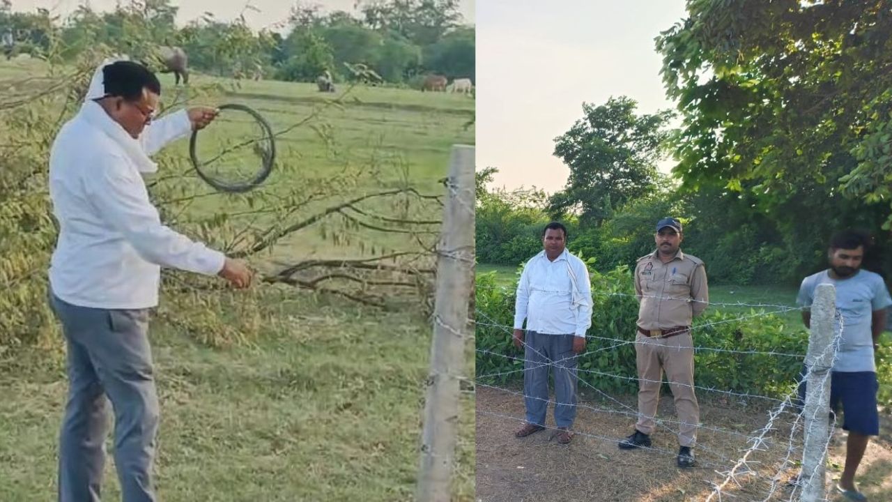खेत में गड्ढा समझ रहे थे लोग, अंदर निकली प्राचीन सुरंग! रायबरेली में हजारों साल पुराने इतिहास का खुला राज