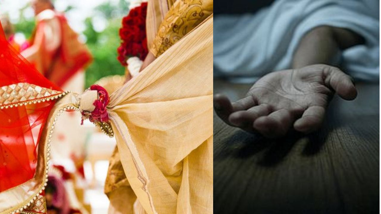 ‘सांप ने नहीं, साजिश ने ली जान!’ पोस्टमार्टम रुकवाने पर अड़ी पत्नी, फिर खुला ऐसा राज जिसने सबको हिला दिया