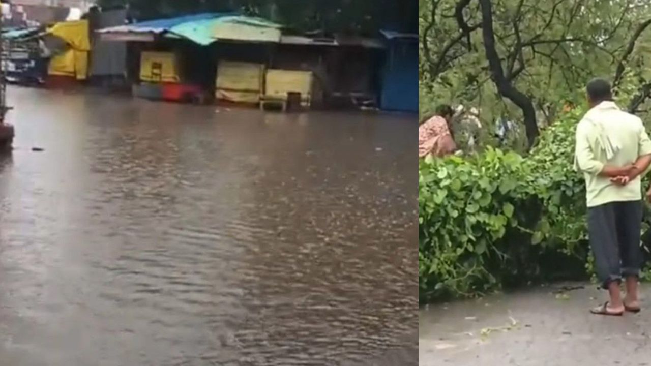 देवरिया में आखिर क्यों अचानक बढ़ी किसानों की टेंशन? आम लोगों और राहगीरों की भी बढ़ीं मुश्किलें