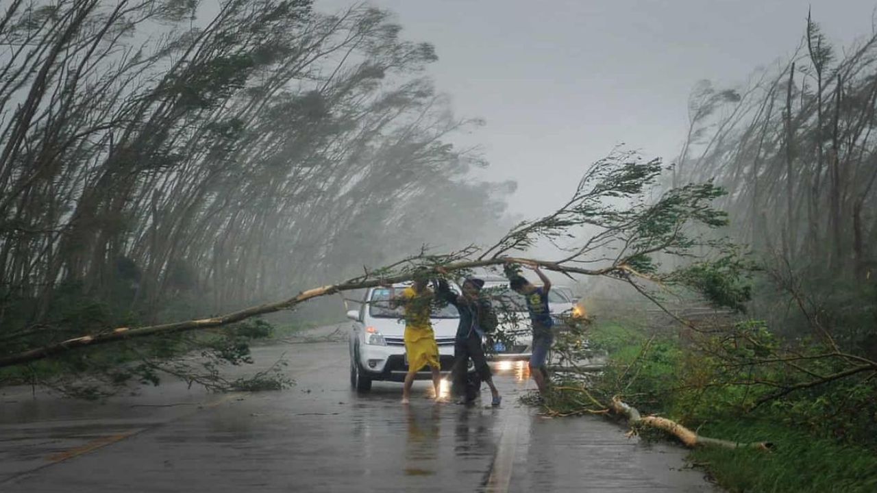 मानसून का प्रचंड तांडव: 16 राज्यों में मूसलाधार बारिश और 80 किमी रफ्तार से आंधी का बड़ा अलर्ट