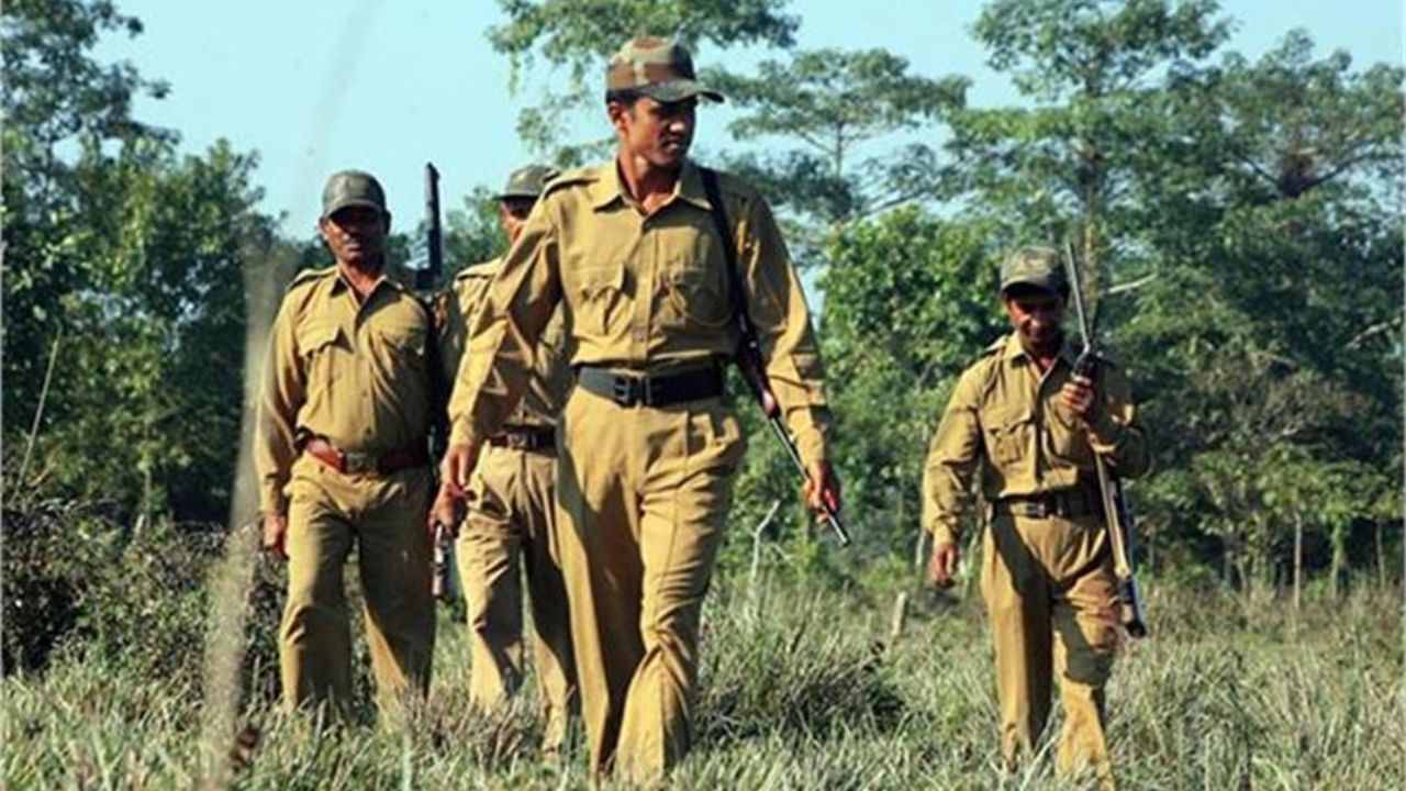 यूपी में फॉरेस्ट गार्ड के पदों पर जॉब ही जॉब, जानिए पूरी डिटेल