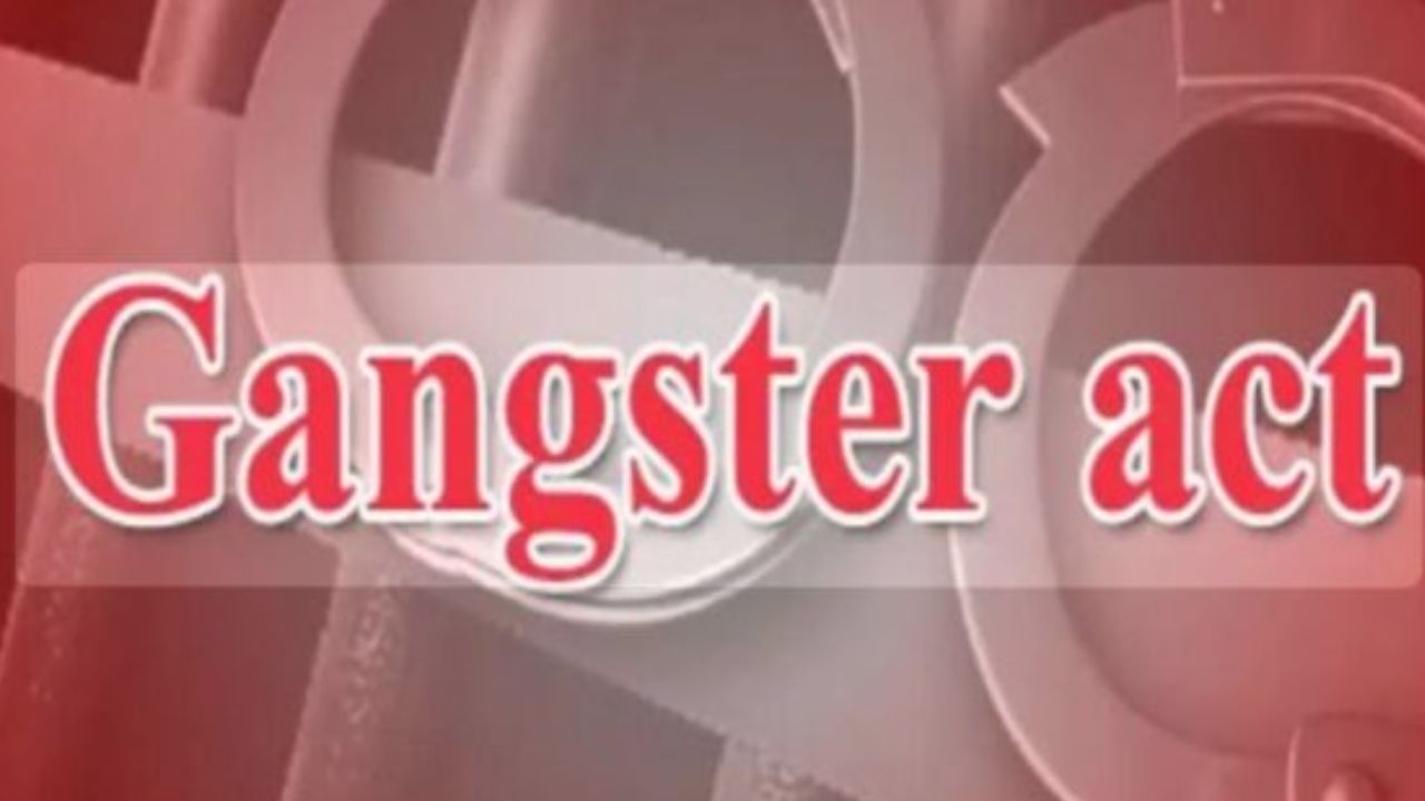 28 मुकदमे, कई जिले और चोरी-लूट का नेटवर्क… गोरखपुर पुलिस ने खोला गैंग का खेल