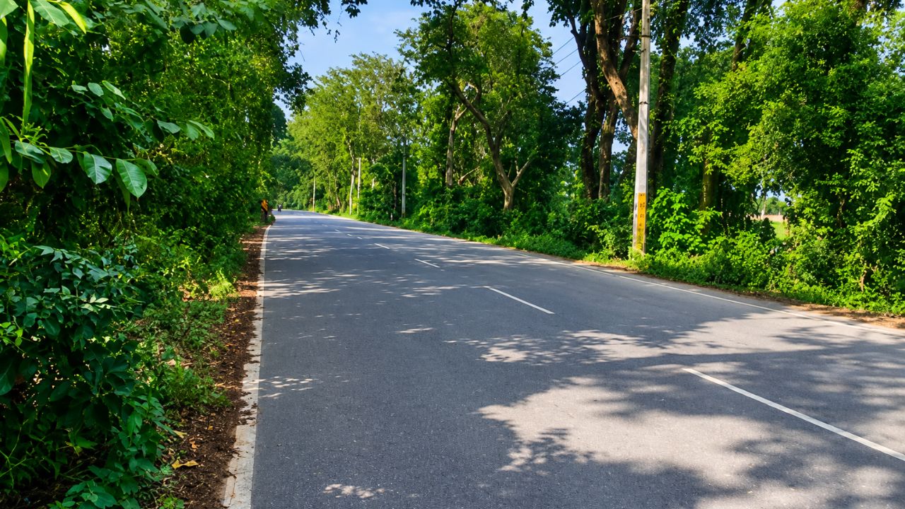 गोरखपुर के किसान सावधान: सड़क चौड़ीकरण से पहले करा लें ये काम, वरना हो सकती है बड़ी परेशानी
