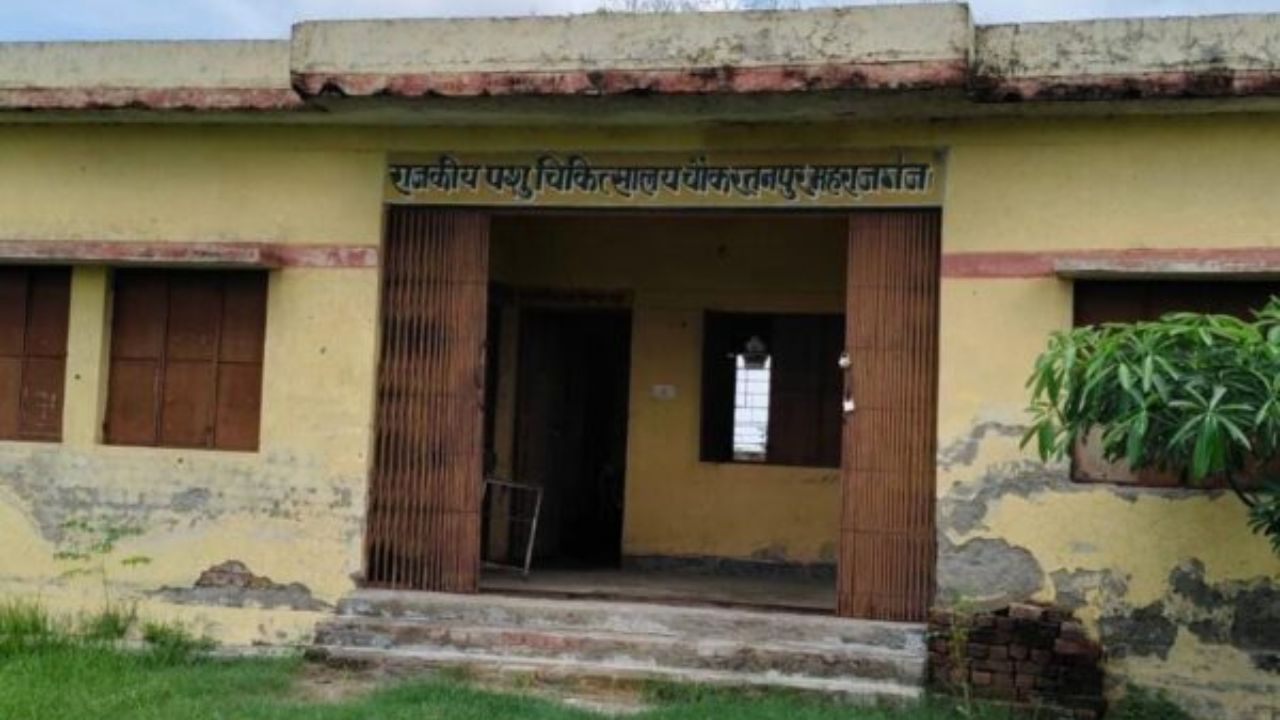 कब जागेगा विभाग? मौत को दावत देता सरकारी पशु चिकित्सालय, जर्जर भवन में जान जोखिम में डाल रहे डॉक्टर