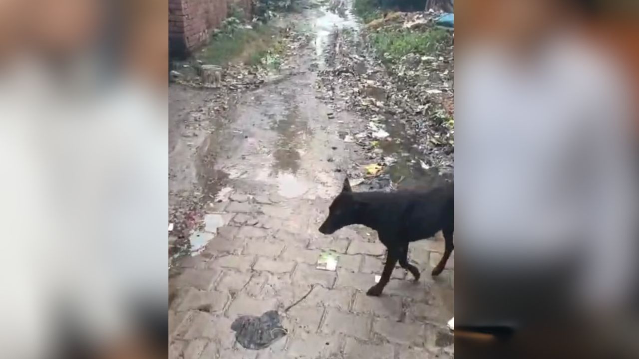 बृजमनगंज में हल्की बारिश में खुली विकास कार्यों की पोल, मुख्य मार्ग पर जलभराव