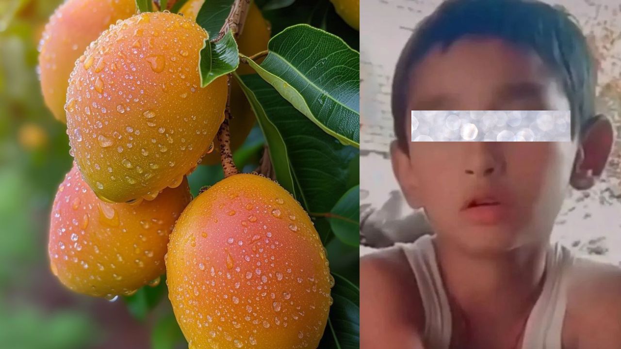 मैनपुरी में बिजली विभाग की अनदेखी ने ली मासूम की जान? आम तोड़ते समय बड़ा हादसा
