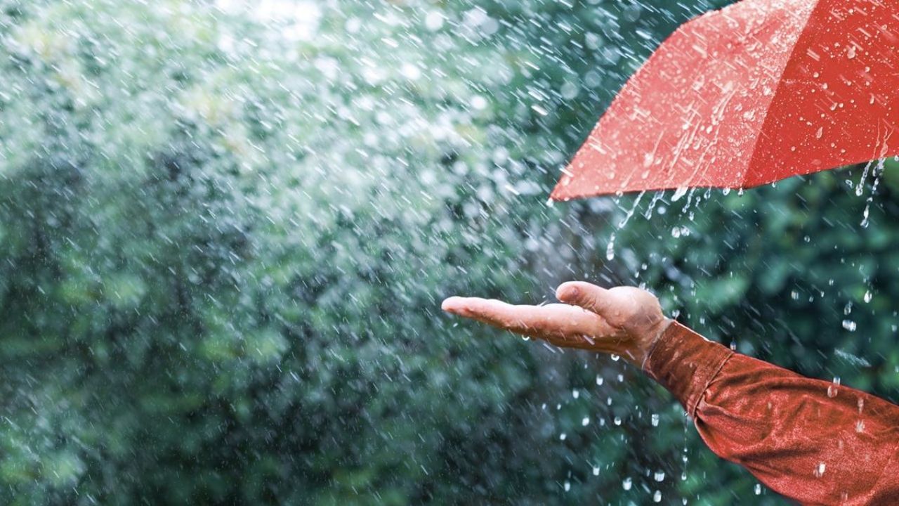 आसमान से बरसेगी आफत: दिल्ली-NCR समेत यूपी-बिहार में भारी बारिश की चेतावनी, IMD ने जारी किया ये अलर्ट