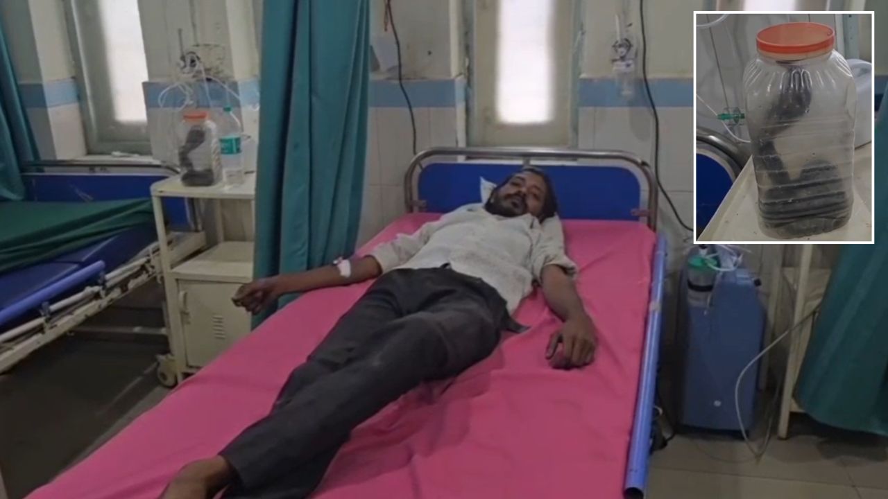 पहले इसे संभाल लो… कोबरा के काटने के बाद युवक ने जो किया, अस्पताल में हर कोई रह गया दंग