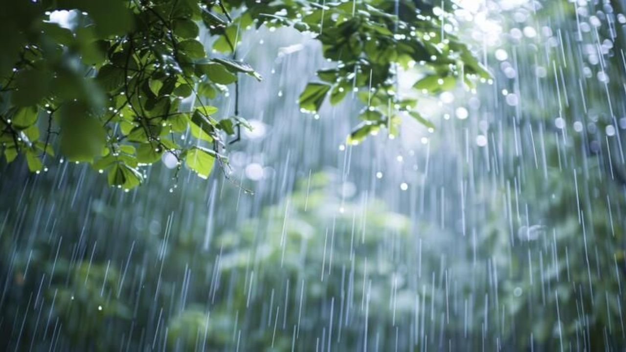 UP Weather: गोरखपुर और अयोध्या समेत इन जिलों में होगी इतनी भयंकर बारिश…घरों से निकलना भी हो जाएगा बिल्कुल नामुमकिन!