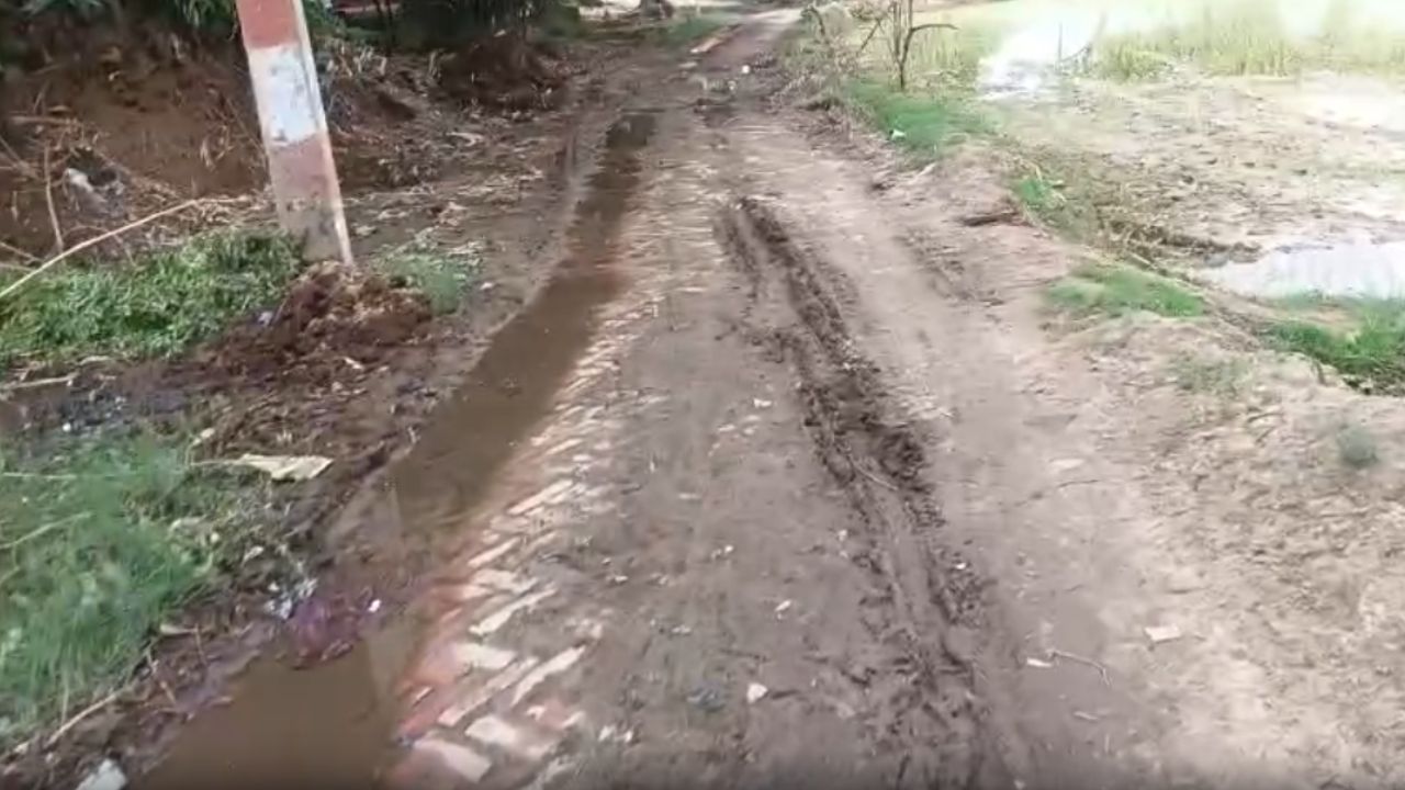 सिर्फ कागजों पर चल रहा स्वच्छ भारत अभियान? सरहनखुर्द गांव की ये तस्वीरें खोल रही हैं दावों की पोल